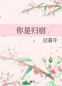 你是归宿迟暮年晋江