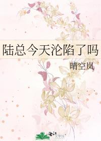 陆总今天也在追前任