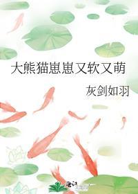 大熊猫崽崽又软又萌 灰剑如羽