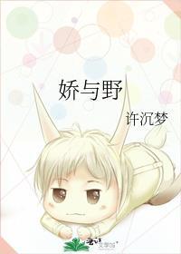 娇与野作者 许沉梦