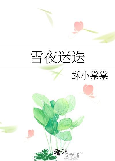 雪夜迷迭免费txt