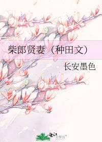 柴郎什么意思