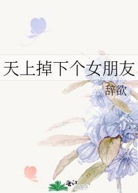 天上掉下个女朋友歌词