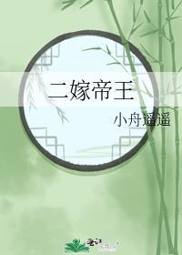 二嫁帝王晋江