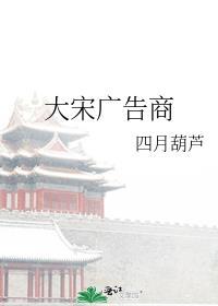 大宋广告商笔趣阁