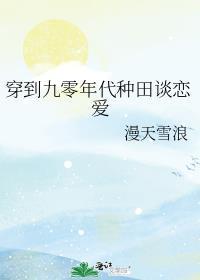 穿越八零九零年代农村种田文