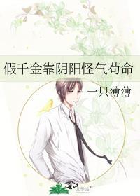 律师的爱情