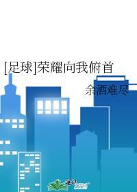 足球荣耀向我俯首称臣