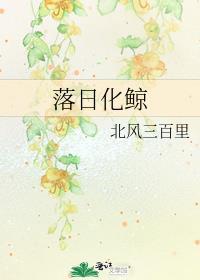 落日化鲸免费阅读