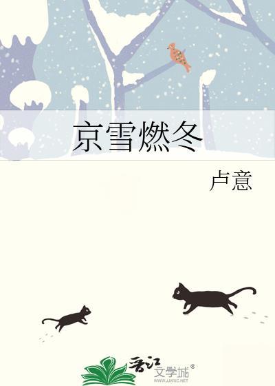 京雪燃冬txt免费阅读