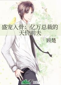 盛宠入骨亿万总裁的天价前夫by顾楚 ...
