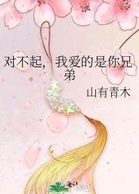 对不起我爱的是你兄弟免费阅读