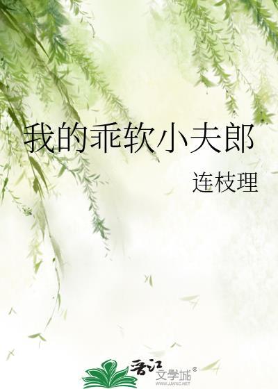 我的乖软小夫郎by连理枝