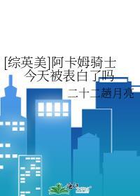 阿卡姆骑士是好人吗