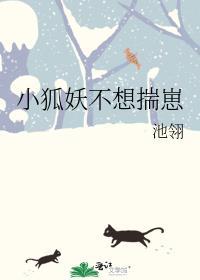 小狐妖不想揣崽番外txt