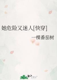 裙钗之下 免费阅读