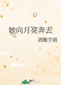 她向月亮奔去 婳婳