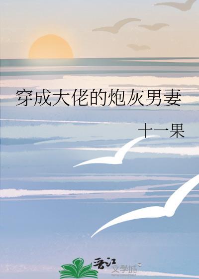 穿成大佬的炮灰男妻百度