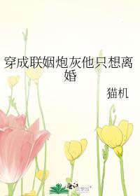 穿成联姻炮灰他只想离婚By猫机未删减