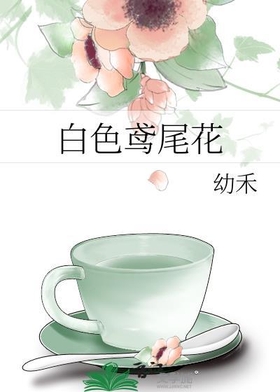 白色鸢尾花语