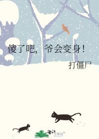 傻了吧爷会变身txt