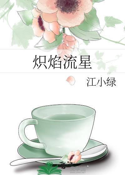 炽焰流星61番外阅读