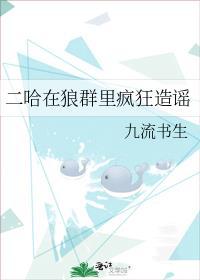 二哈遇到狼