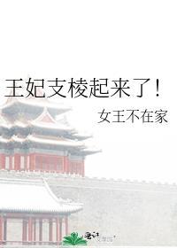 王妃支棱起来了!作者女王不在家