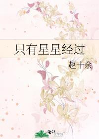 只有星星没有月亮的夜晚