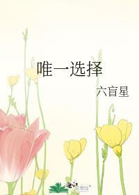 唯一选择 六盲星番外