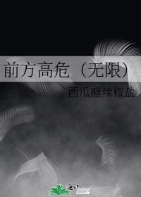 前方高危(无限)笔趣阁