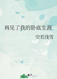 再见了我的卧底生涯txt