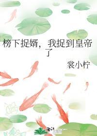 榜下捉婿乐文