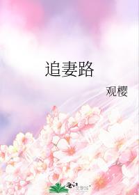 追妻路漫漫下一句