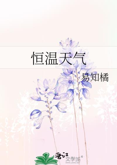 恒温天气日记