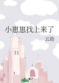 小崽崽找上来了by云劫TXT