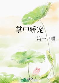 掌中娇宠全文免费阅读