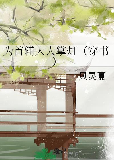 为首辅大人掌灯(穿书)在哪里看