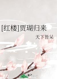 红楼梦贾瑚是谁