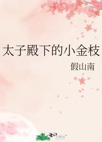 太子殿下的小金枝晋江