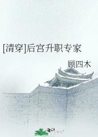 清穿之后院晋升守则