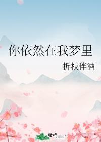 你依然在我梦里TXT百度链接