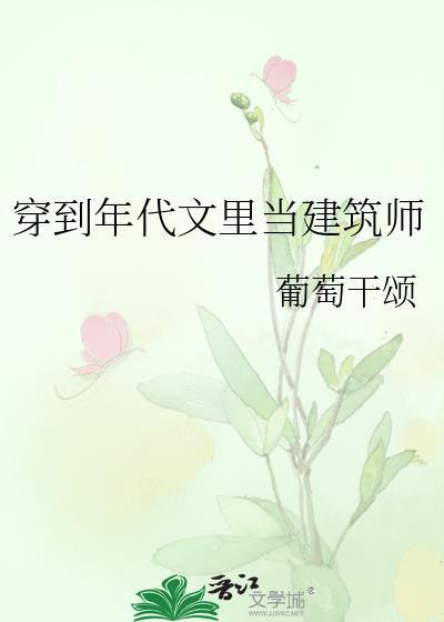 穿到年代文里当建筑师TXT
