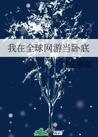 我在全球网游当卧底书包网