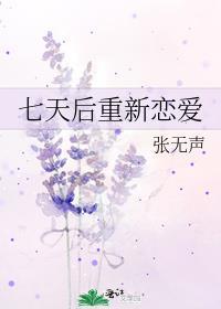 七天后重新恋爱+番外
