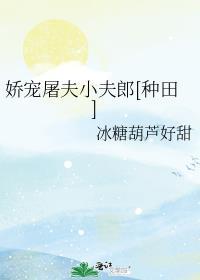 娇宠屠夫小夫郎种田冰糖葫芦