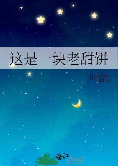 这是一块老甜饼TXT百度