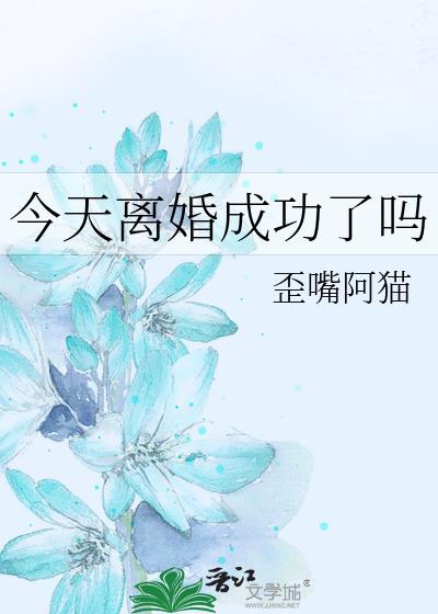 今天离婚成功了吗免费阅读