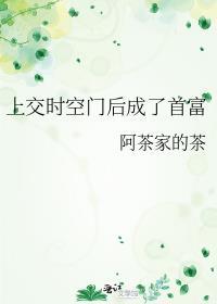 上交时空门后成了首富免费