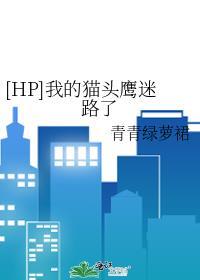hp我的猫头鹰迷路了txt
